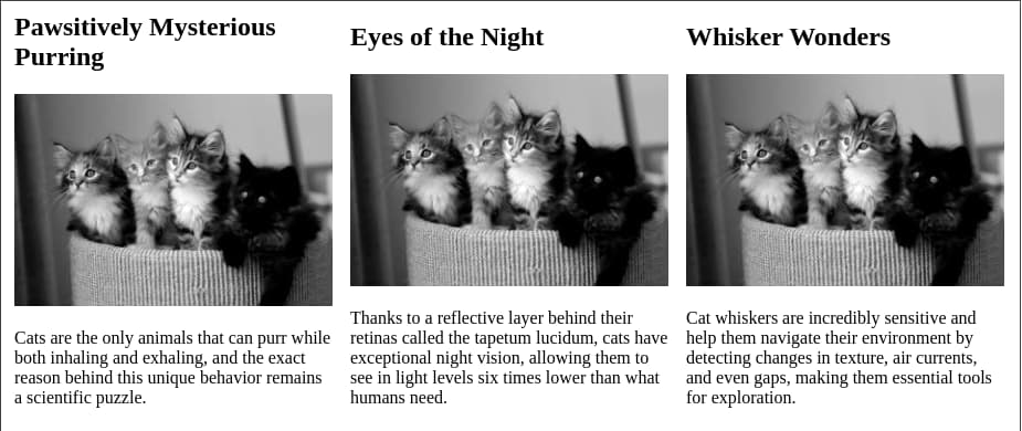 MĂȘme screenshot qu'en dĂ©but d'article mais la derniĂšre ligne des descriptions sont cette fois-ci bien alignĂ©es. Les images et les titres ne le sont toujours pas.