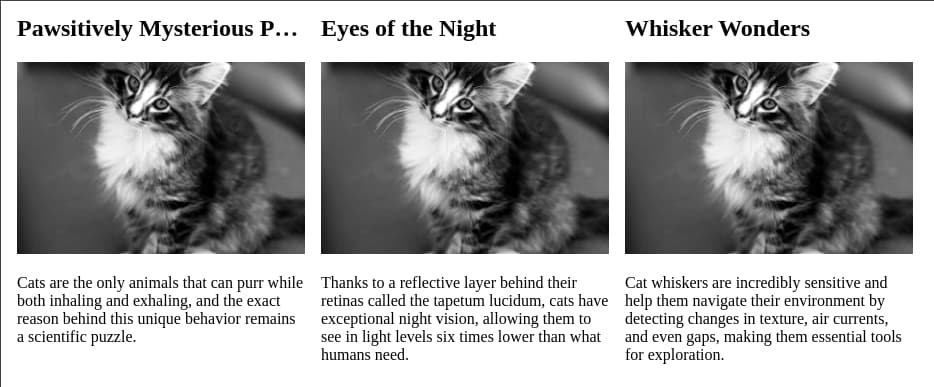 MĂȘme screenshot qu'en dĂ©but d'article mais avec des `...` Ă  la fin du premier titre pour s'assurer qu'il est bien sur une seule ligne